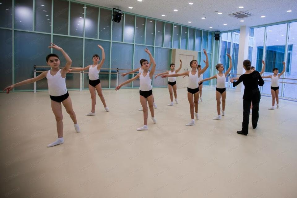 Академия танца Бориса Эйфмана проведет выездной просмотр в Тольятти