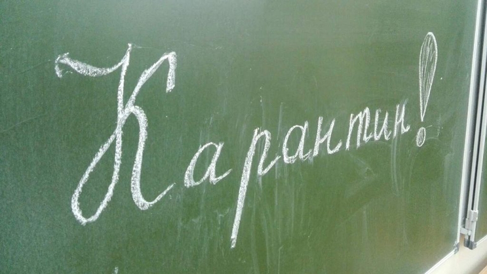 Общеобразовательные школы Тольятти закрываются на карантин по гриппу
