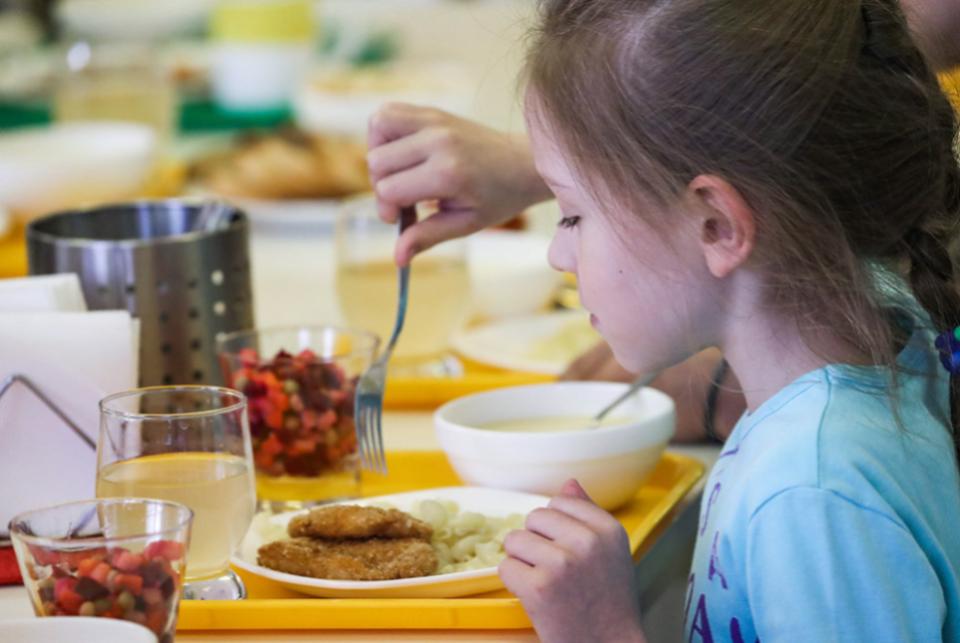 Законопроект о бесплатном питании школьников младших классов окончательно принят Госдумой