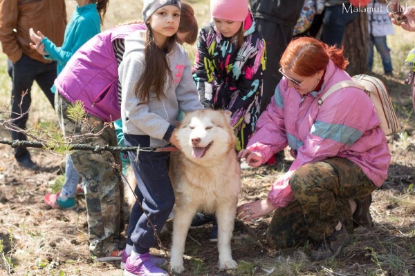 Экскурсия в питомник Экскурсия в питомник