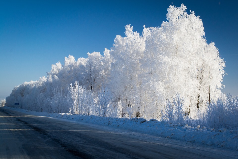 В начале новой недели снегопады покинут Самарскую область